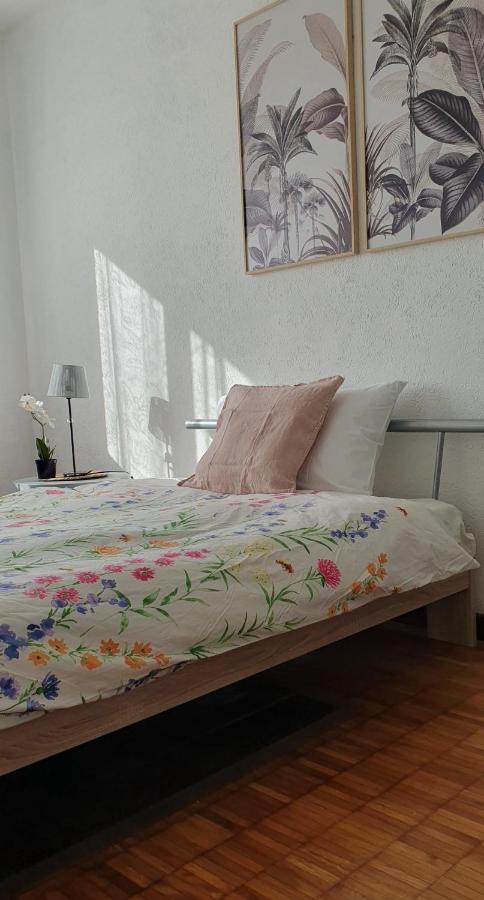Charming Penthouse Near Como Lake Chiasso Kültér fotó